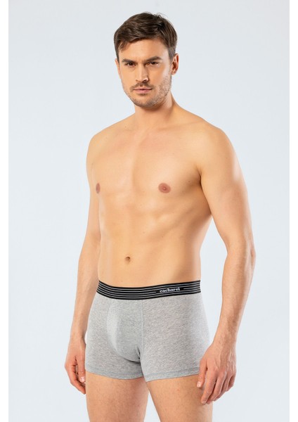 Erkek 2'li Boxer (Düz) 1318/GRİ