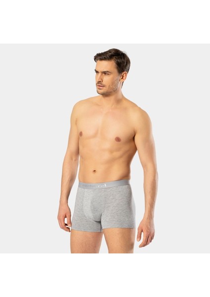 Erkek Boxer 1405/GRI fırsatları