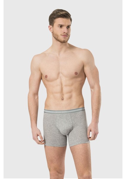 Erkek Likralı Boxer 174/GRI