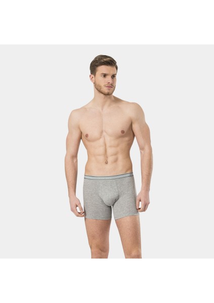Erkek Likralı Boxer 174/GRI fiyatları