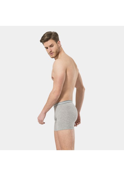 Erkek Likralı Boxer 174/GRI modelleri