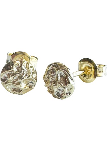 Nu 1 Gümüş Küpe MS3199, 925 Ayar Gümüş, Ithal Ürün