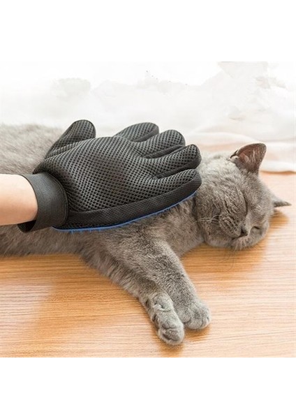 Bakgelal Evcil Hayvan Tüy Toplama ve Masaj Eldiveni, Kedi ve Köpekler İçin Özel Tarama Eldiveni (Mavi)