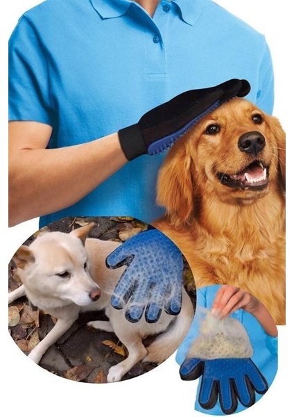 Bakgelal Evcil Hayvan Tüy Toplama ve Masaj Eldiveni, Kedi ve Köpekler İçin Özel Tarama Eldiveni (Mavi) fiyatları