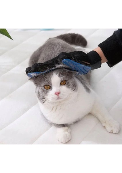 Bakgelal Evcil Hayvan Tüy Toplama ve Masaj Eldiveni, Kedi ve Köpekler İçin Özel Tarama Eldiveni (Mavi) modelleri