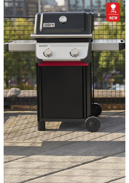Spirit® 2025 Gazlı Barbekü&Mangal E-210