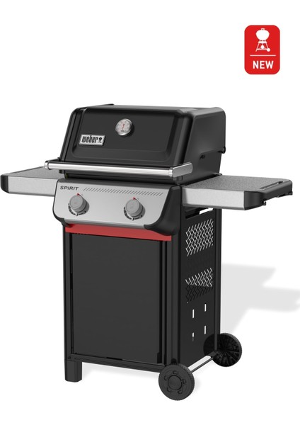 Spirit® 2025 Gazlı Barbekü&Mangal E-210 fiyatları