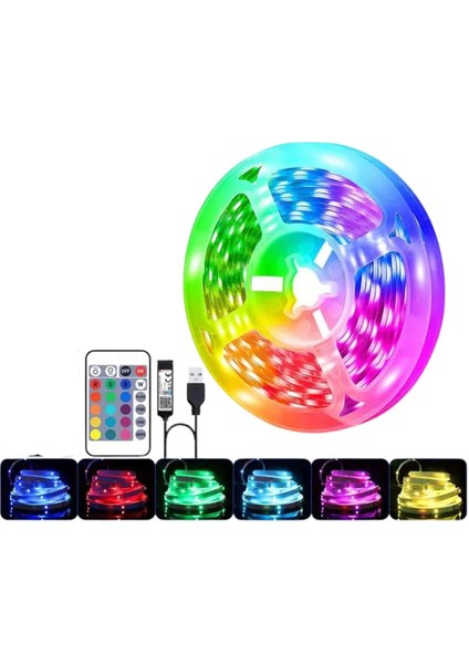 Rgb Şerit LED 10 Metre LED Işık Kumanda ile Kontrol Rgb