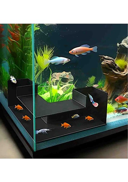 Balık Tüneli Gezinme Saklanma Alanı 1 Adet V Tünel 2 Renk Seçeneği 13X13 cm. Orta bölüm doğal ve ya yapay çicek ekleyebilmeniz için küçük 4 -6 delik açılmıştır.