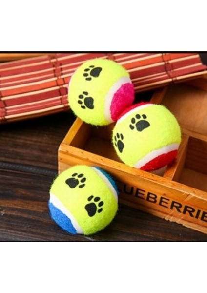 At Getir Köpek Eğitim Topu (5067)