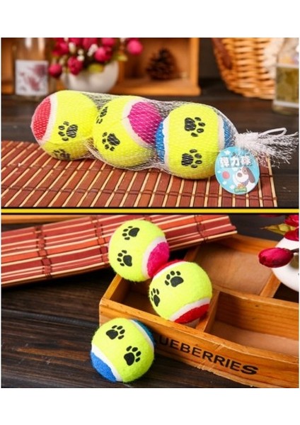 At Getir Köpek Eğitim Topu (5067)