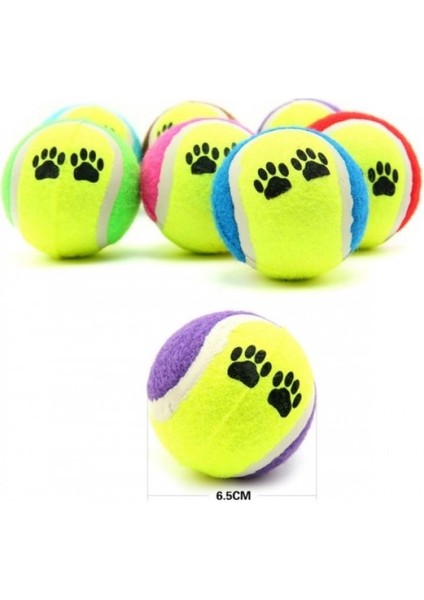 At Getir Köpek Eğitim Topu (5067)