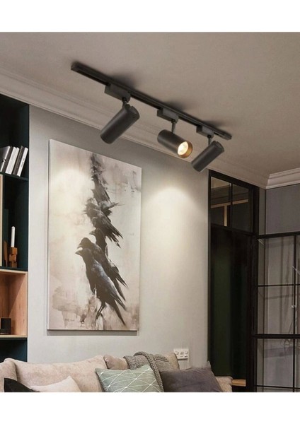 Siyah Kasa Günışığı 1 Metre Raylı 3'lü 30W Ray Spot Vitrin Mağaza Armatürü Gün Işığı fiyatları
