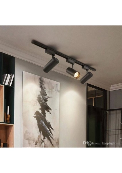 Siyah Kasa Günışığı 6 Adet 30W Ray Spot Vitrin Armatürü 2 mt Raylı Spot Lamba modelleri