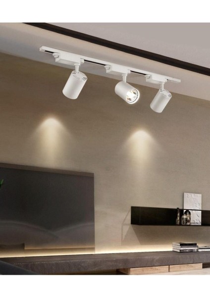 Metal Kasa Set Beyaz Kasa Günışığı Renkli Spot 4 Adet 30W LED Ray Spot Lamba 1 Metre Ray Dahil