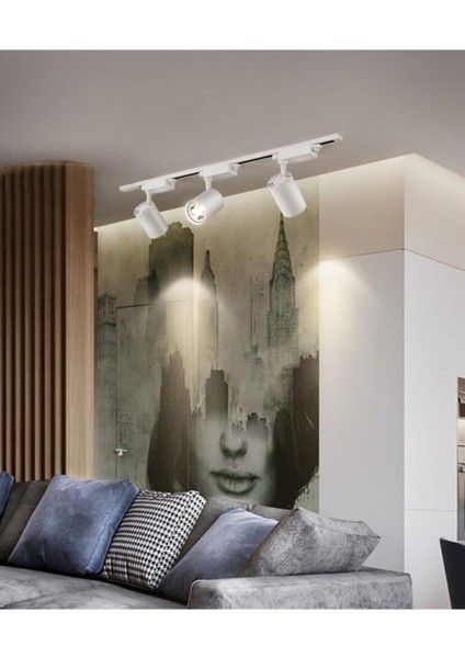 Metal Kasa Set Beyaz Kasa Günışığı Renkli Spot 4 Adet 30W LED Ray Spot Lamba 1 Metre Ray Dahil fiyatları