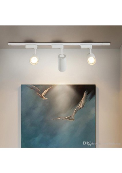 Beyaz Kasa Beyaz Işık 6 Adet 30W Ray Spot Vitrin Armatürü 2 Metre Raylı Spot Lamba fiyatları