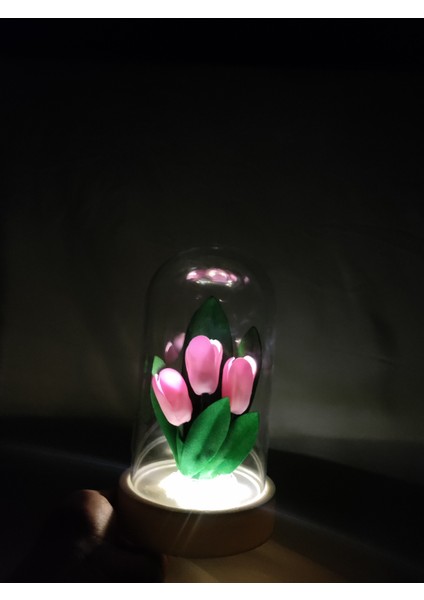 Dekoratif Ledli Açık Pembe Lale ''nûr-I Adn'' Teraryum Fanus, Hediyelik Fanus