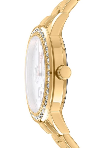 DK1L055M0055 Kadın Kol Saati fiyatları