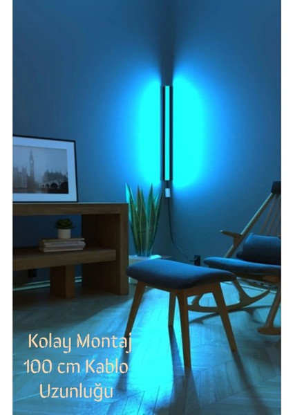 Full Rgb LED Aplik Kumandalı indirimleri