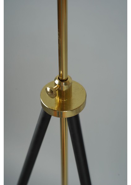 Pier Metal Lambader Siyah-Antrasit (38 x 38 x 145 cm )