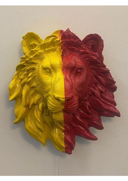 Aslan Tüy Aplik