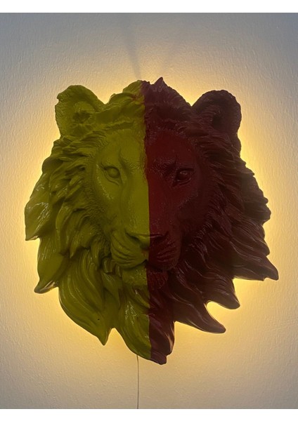 Aslan Tüy Aplik