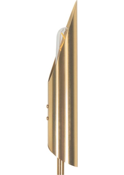 Fly Gold Aplik