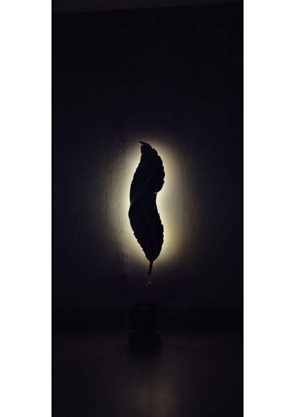 Tüy Aplik Led'li Pilli Dekoratif Duvar Aydınlatma Krem-Siyah 60*16 cm