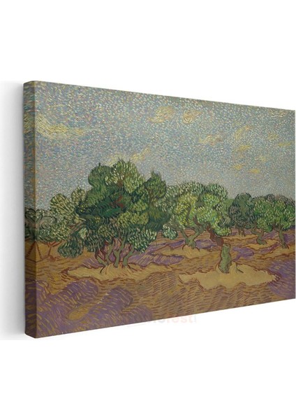 Vincent Van Gogh - Zeytin Ağaçları Kanvas Tablo modelleri