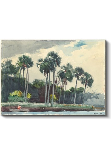 Winslow Homer - Palm Trees Florida Kanvas Tablo