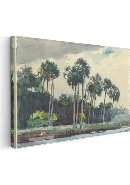 Winslow Homer - Palm Trees Florida Kanvas Tablo
