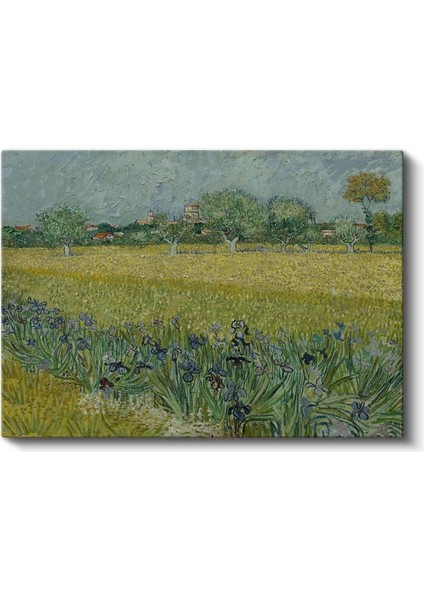 Vincent Van Gogh - Süsenli Buğday Tarlası Kanvas Tablo