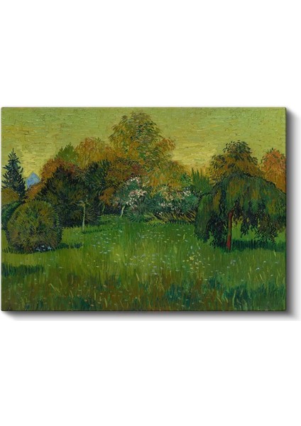 Vincent Van Gogh - Bahçe Manzarası Kanvas Tablo