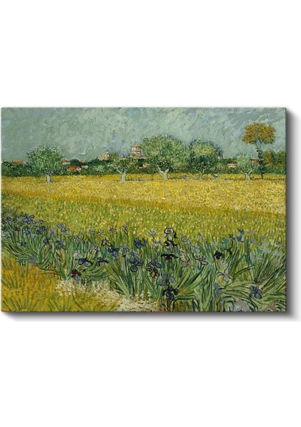 Vincent Van Gogh - Arles Yakınlarında Süsenli Tarla Kanvas Tablo fiyatları