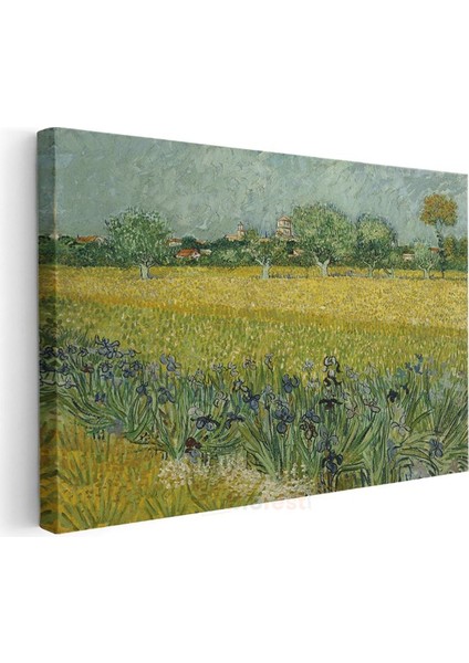 Vincent Van Gogh - Arles Yakınlarında Süsenli Tarla Kanvas Tablo modelleri