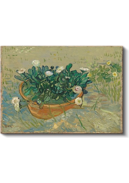 Vincent Van Gogh - Saksıda Papatyalar Kanvas Tablo