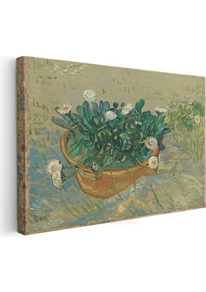 Vincent Van Gogh - Saksıda Papatyalar Kanvas Tablo