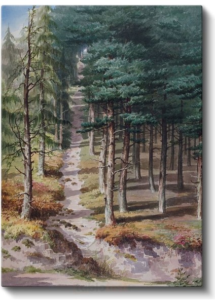 Ivan Shishkin - Orman Patikası Kanvas Tablo fiyatları