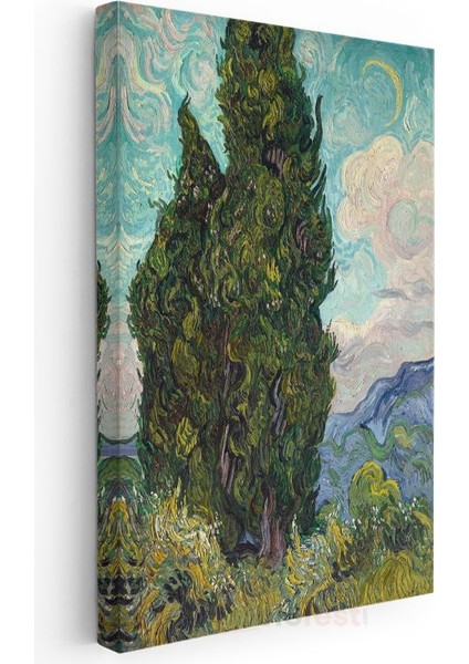 Vincent Van Gogh - Selvi Ağaçları Kanvas Tablo