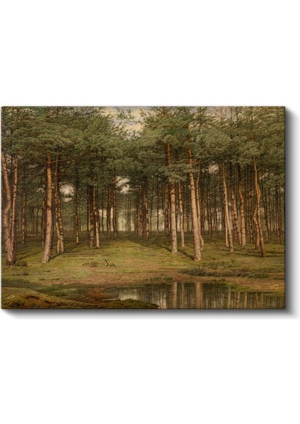 Ivan Shishkin - Çam Ormanı Kanvas Tablo fiyatları
