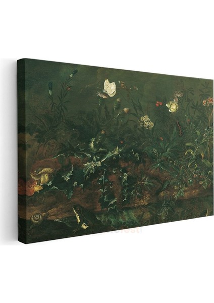 Otto Marseus Van Schrieck - Orman Tabanı Kanvas Tablo modelleri