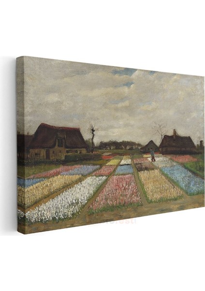 Vincent Van Gogh - Lale Tarlaları Kanvas Tablo modelleri