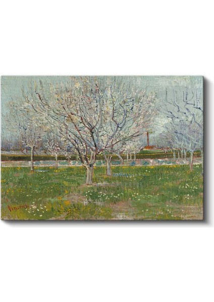 Vincent Van Gogh - Çiçek Açan Meyve Ağaçları Kanvas Tablo fiyatları