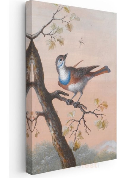 John James Audubon - Mavi Göğüslü Kuş Kanvas Tablo