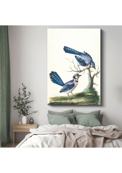 John James Audubon - Mavi Alakargalar Kanvas Tablo