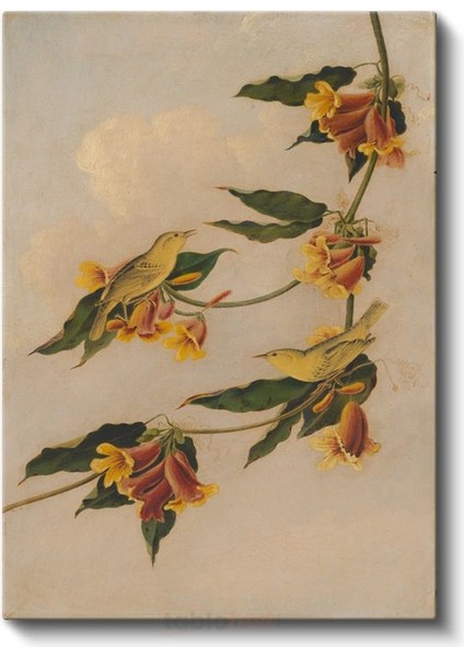 Martin Johnson Heade - Sarı Çiçekler ve Kuşlar Kanvas Tablo