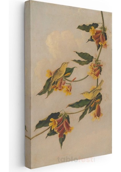 Martin Johnson Heade - Sarı Çiçekler ve Kuşlar Kanvas Tablo