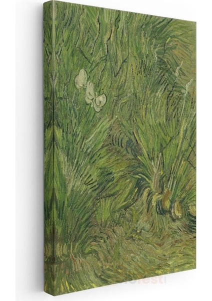 Vincent Van Gogh - Kelebekli Çimen Kanvas Tablo modelleri