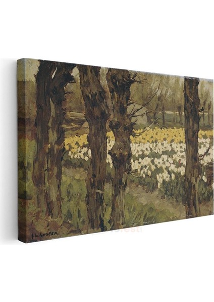 Vincent Van Gogh - Nergis Bahçesi Kanvas Tablo